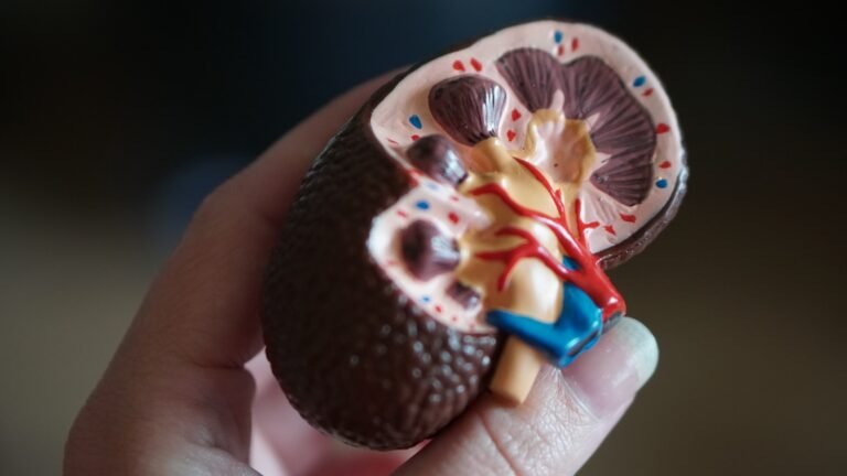 kidney health silent danger