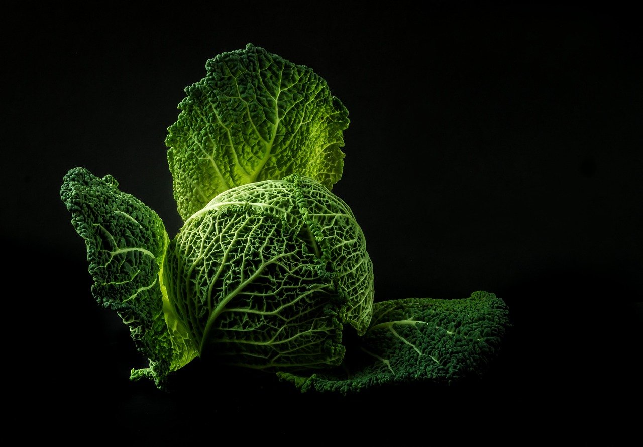 Cabbage Superfood For Health