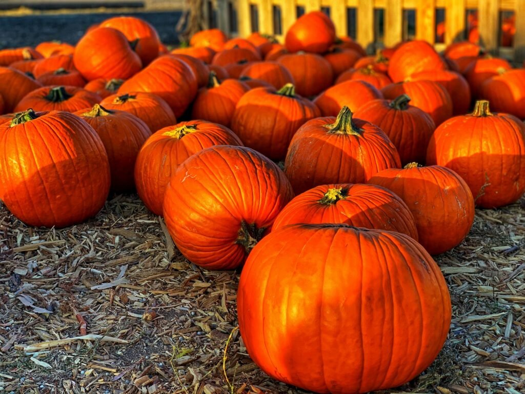 Pumpkins Superfood